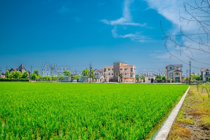 農舍強制拆除  宜蘭縣：貫徹農地農用