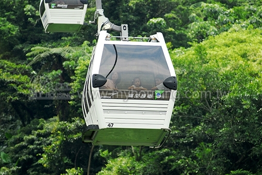 下月票價漲　想搭貓纜趁現在！　