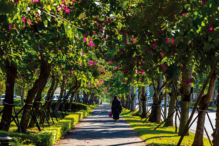 A7文教生活核心 幸福成家首選