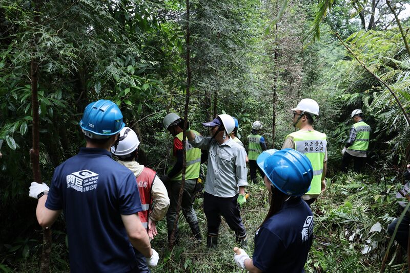 台北市推動碳匯法制化　五大增匯策略邁向淨零目標