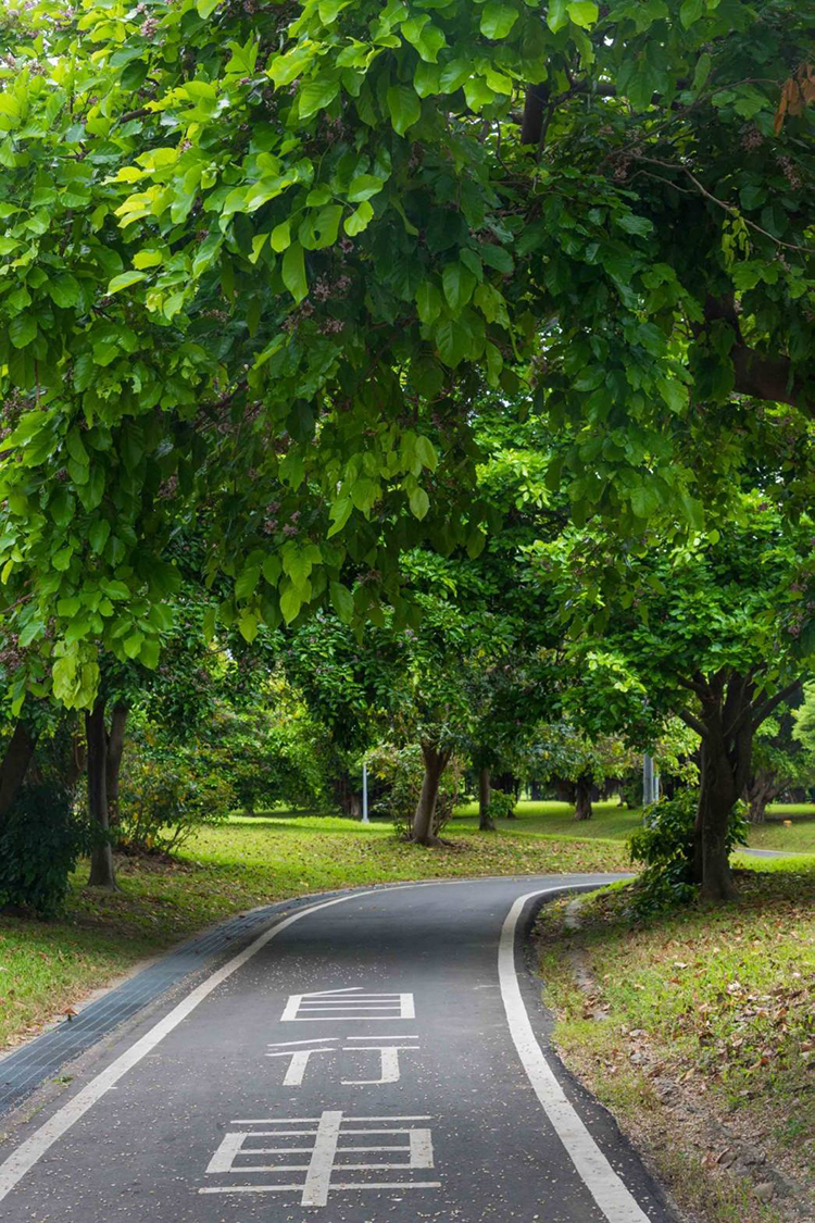 首購制震夢想家 黃金級綠建築首公開