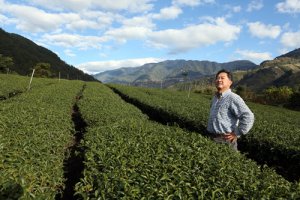 倫敦五星酒店 愛上梨山茶