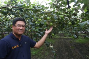 頂級禮盒必備 LV級蜜棗