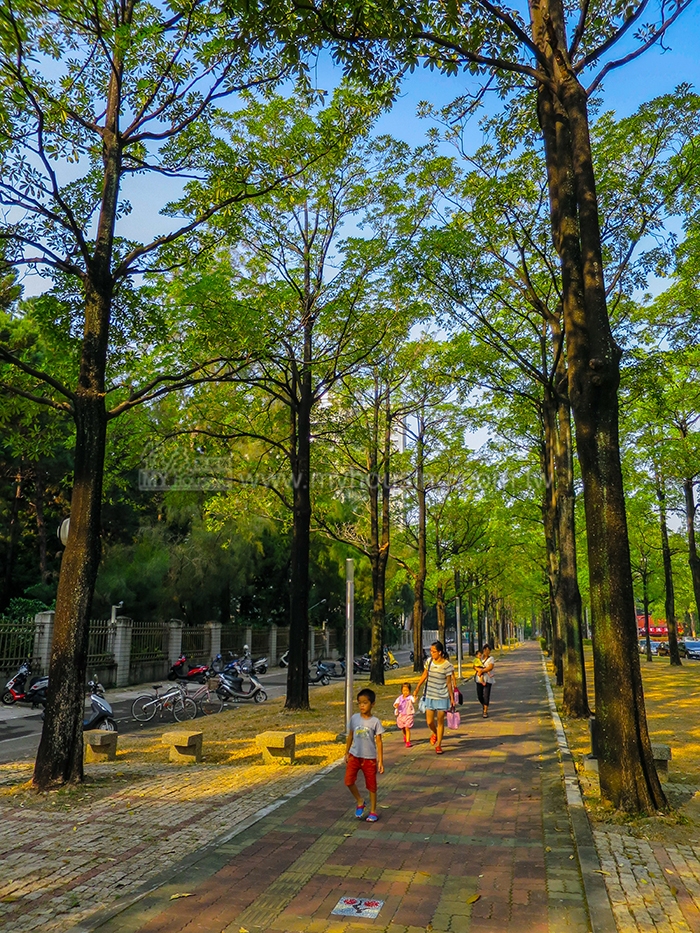 迎接2018世界花博　台中推「台中之心」計畫