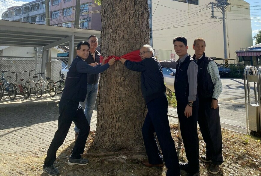 百年樟樹、日式老屋與珍貴檔案！東勢地政「護產傳承嘉年華」帶你穿越百...