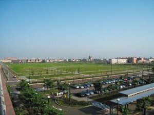 桃園青埔雙虎　打造金磚神話 跟著高鐵賺　泥水工翻身百億地王