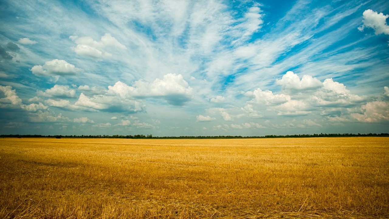 國土計畫未來每5年通檢 台南農地屢傳遭騙低價出脫