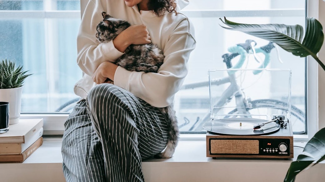 養貓租屋難 她自備150萬問「能買房」？ 網搖頭：太硬了