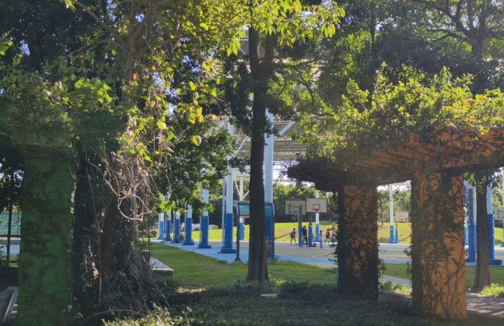 新竹房價高、購屋族往苗栗看！竹南頭份「公園區」值得買嗎？在地房仲解...