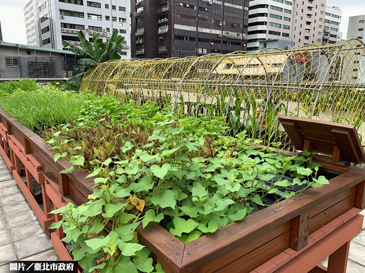 田園城市助減碳 綠屋頂好處多