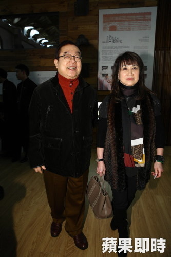 蔡辰男9萬多坪汐止土地淪3拍