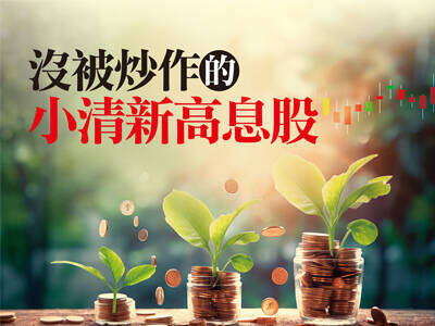 沒被炒作的小清新高息股
