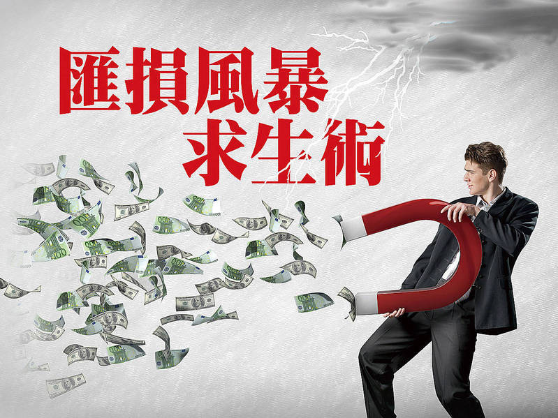 匯損風暴求生術