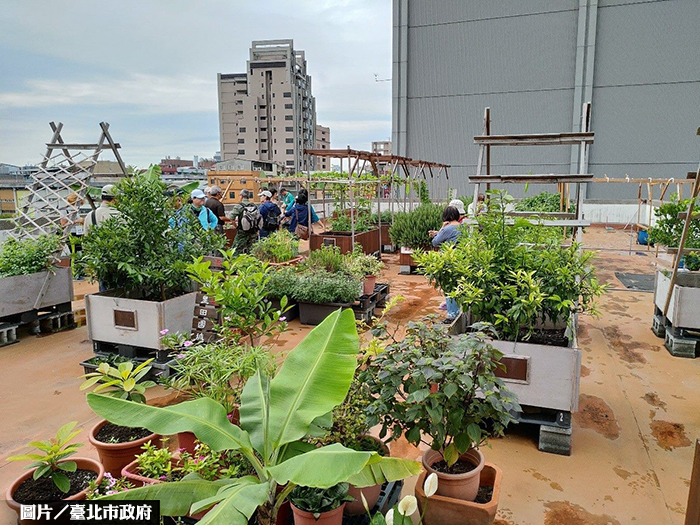 田園綠屋頂入門 北市開工作坊教學
