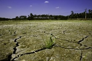 10年大乾旱來襲 完整解讀水危機