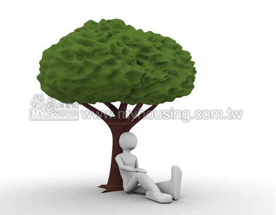 台74線下空地　明年起啟動綠化