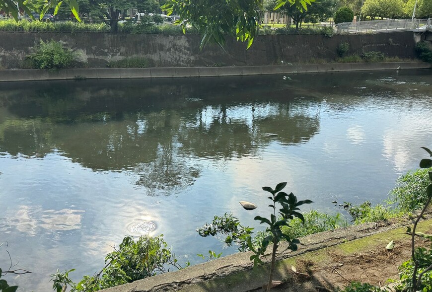 南投鄉村小宅難脫手？專家解析農村房市迷思與改善策略