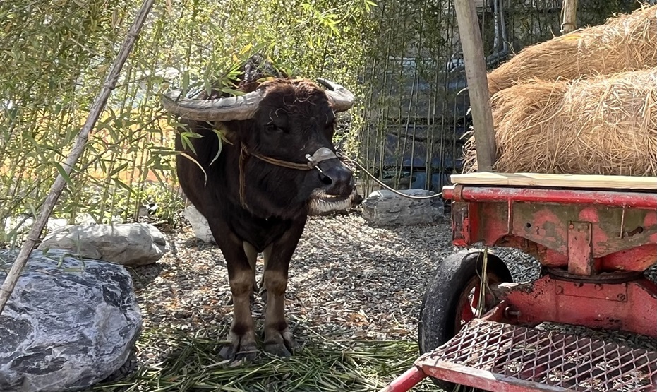 建案量不降反升！賴正鎰1理由：今年會愈來愈穩