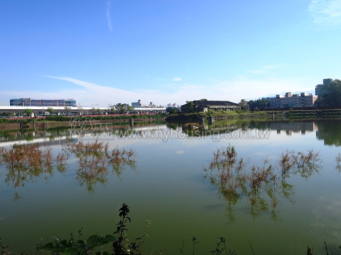 購物中心沒蓋成　台中糖廠廢池變身