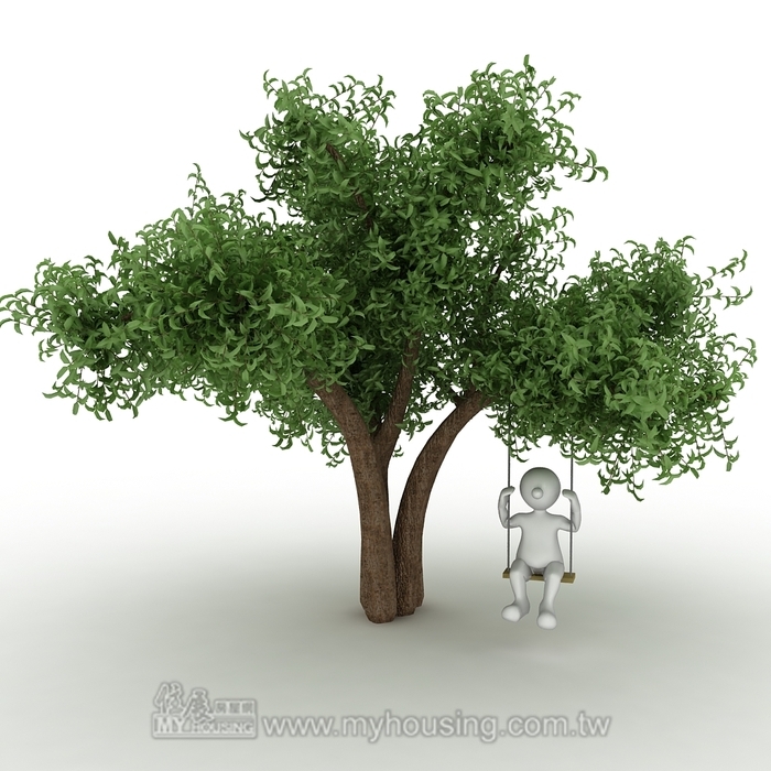 護樹團體：盼都更「以屋就樹」