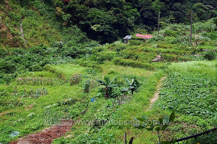 雲林斗六違規整坡 限期恢復原樣
