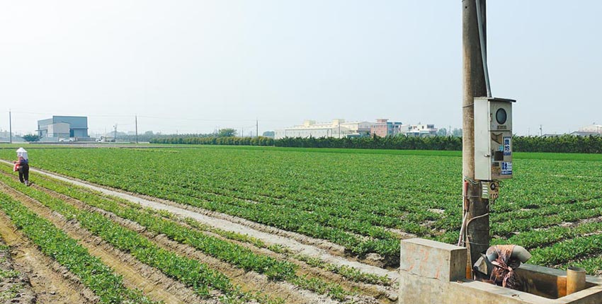 疫情中 不動產農地交易逆勢揚