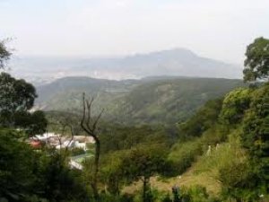 小坪頂推案熱銷　馮侖打破八卦山魔咒？ 「萬通台北」開紅盤　激勵南國喊...