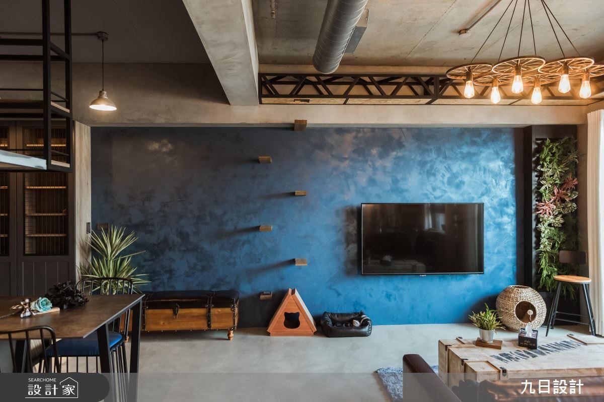 眷戀日光綠意，人與貓愜意悠哉生活