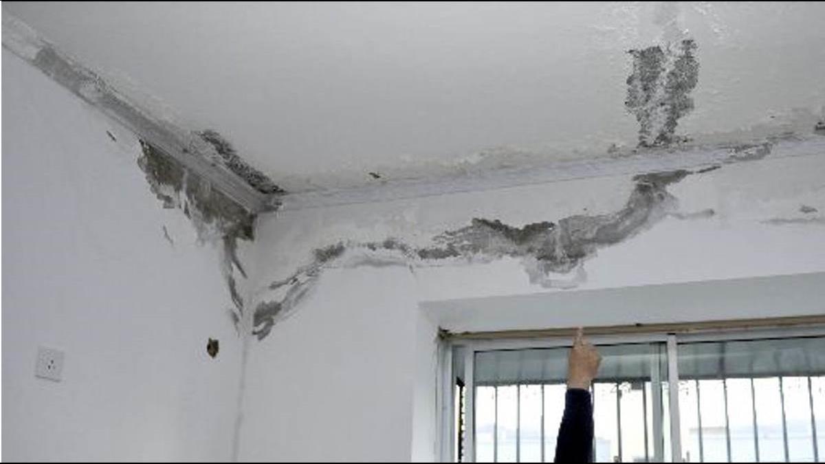 魔鬼藏在細節裡！家中牆角見這生物 醫師示警：有分屍現場