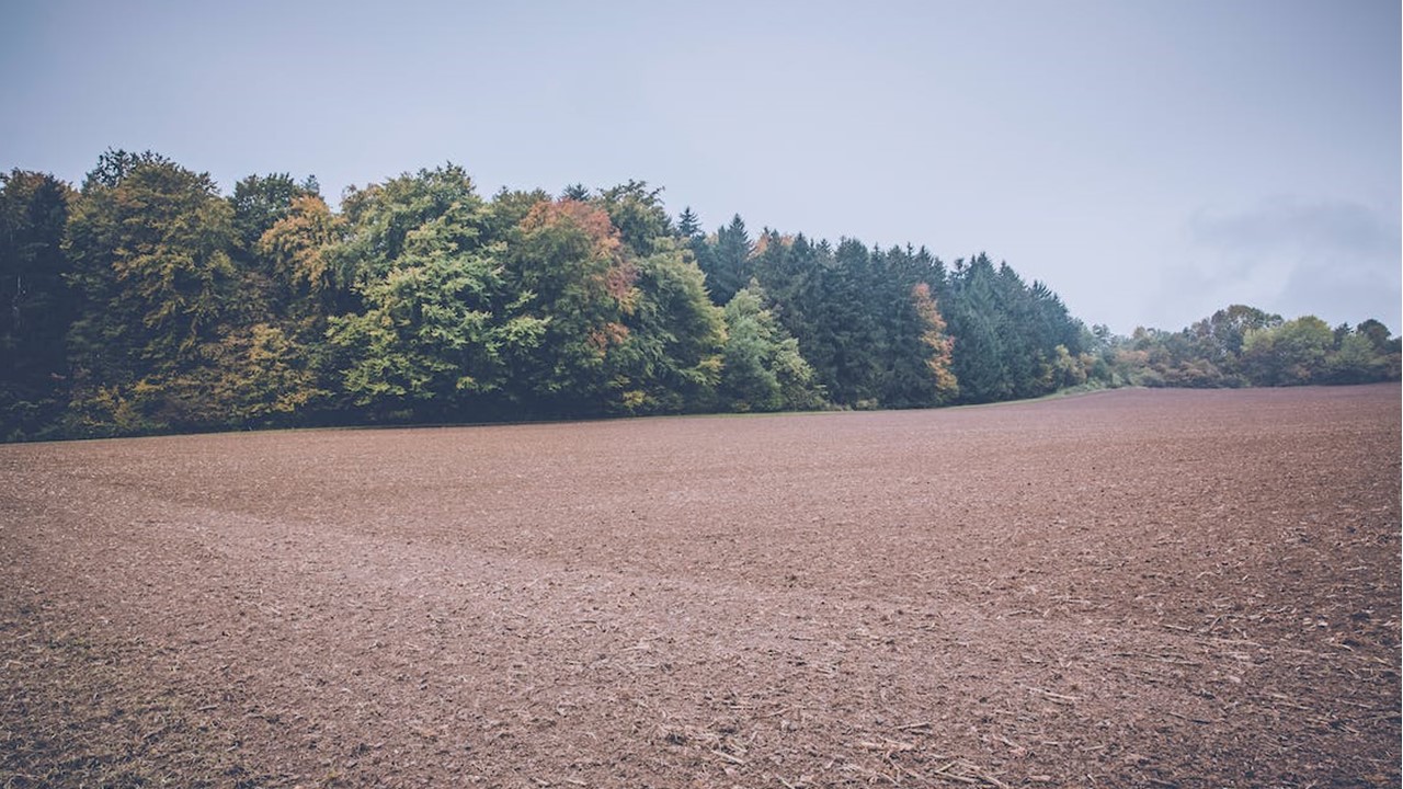 400萬想蓋40坪透天 內行人搖頭「沒2千萬起不來」：貴的是利潤