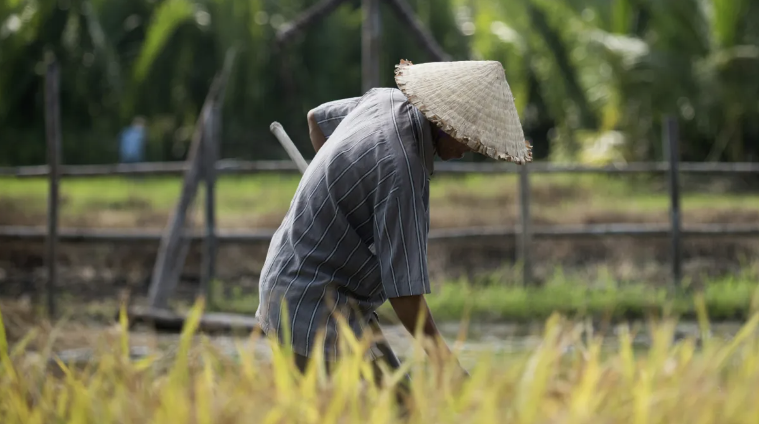 有房有地也能領老農津貼？農委會排富門檻公開：認明「這 6 種不動產」可...